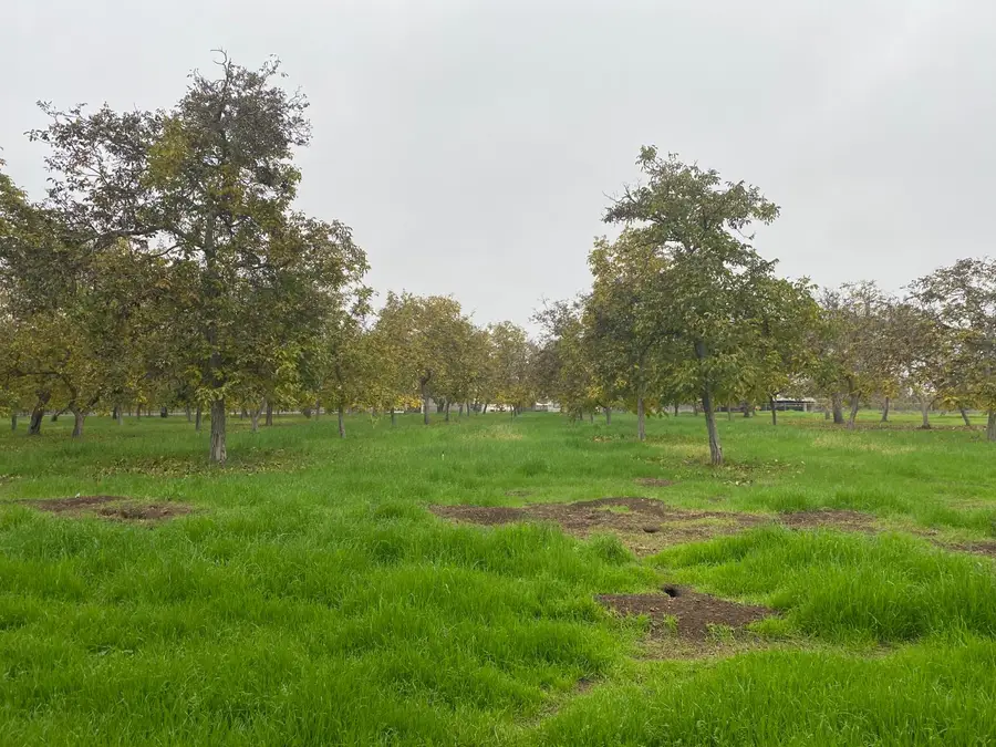 10201 E Fairchild Road, Stockton, CA 95215 - Image #3