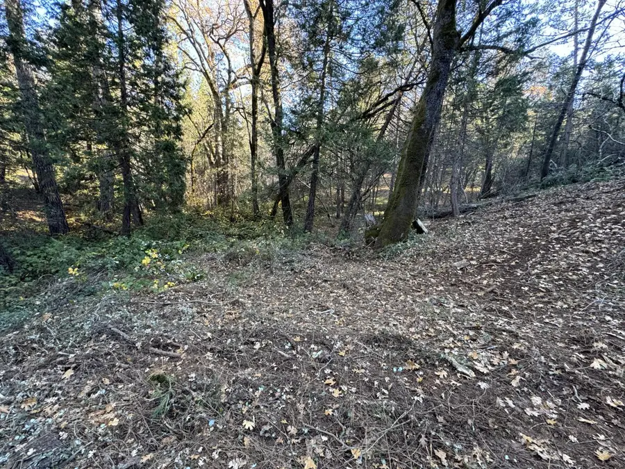 0 Sly Park, Placerville, CA 95667 - #2
