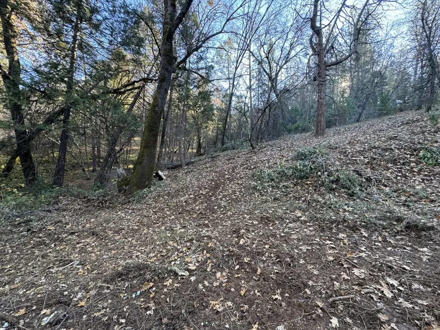 0 Sly Park, Placerville, CA 95667 - #3