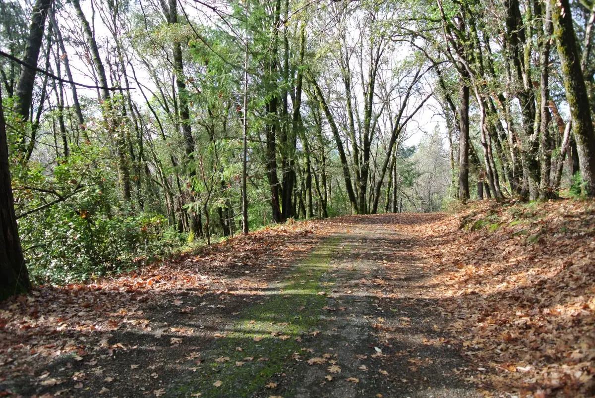 5577 Pine Ridge Road, Foresthill, CA 95631 - Image #1