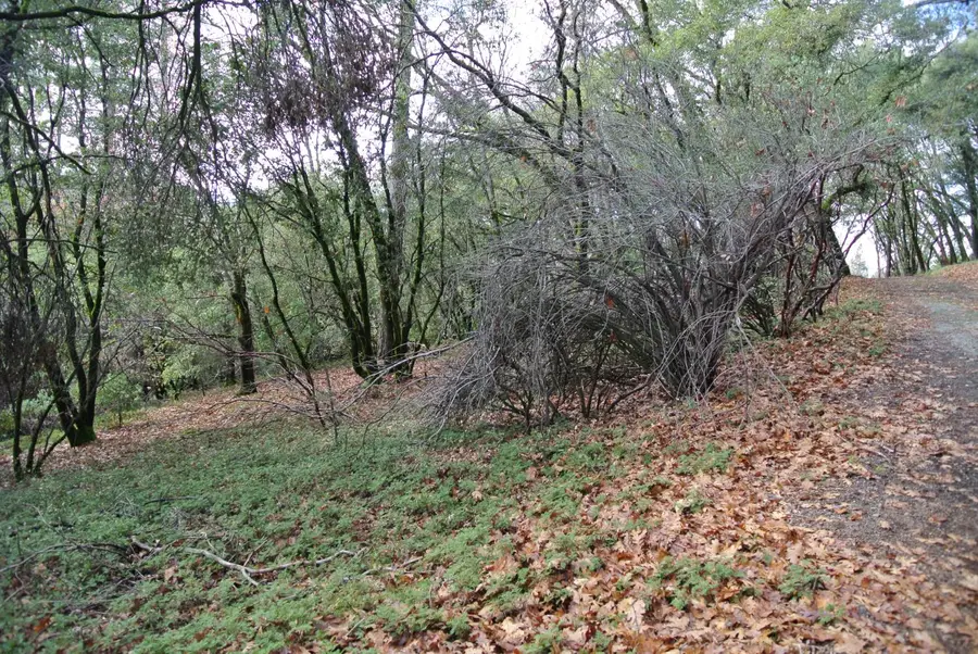 5577 Pine Ridge Road, Foresthill, CA 95631 - Image #3