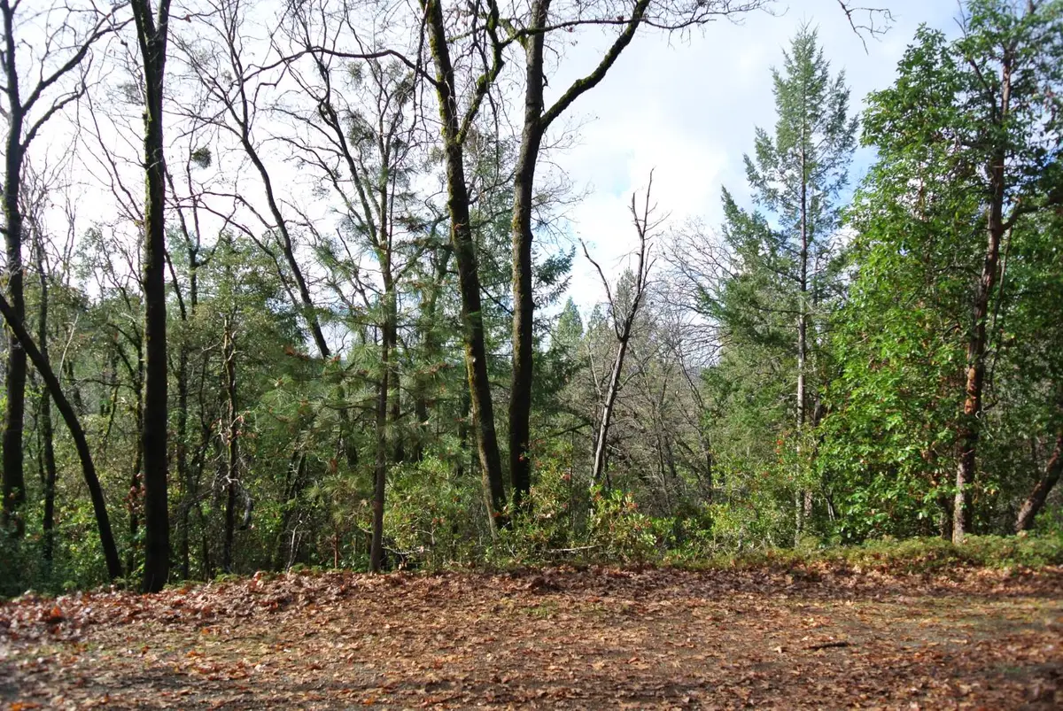 5588 Pine Ridge Road, Foresthill, CA 95631 - Image #1