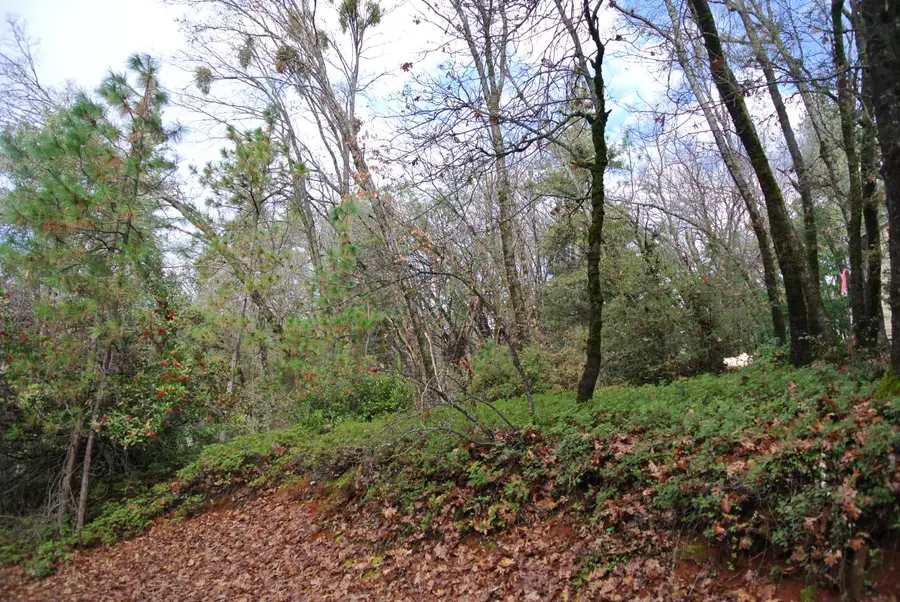 5588 Pine Ridge Road, Foresthill, CA 95631 - Image #3