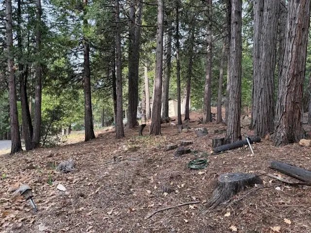 4261 Park Woods Drive, Pollock Pines, CA 95726 - Image #2