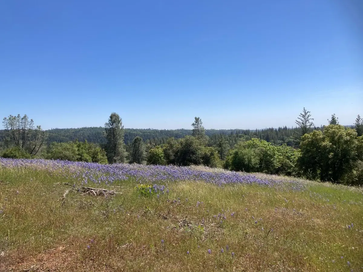 16688 Sonshine Lane, Sutter Creek, CA 95685 - Image #1