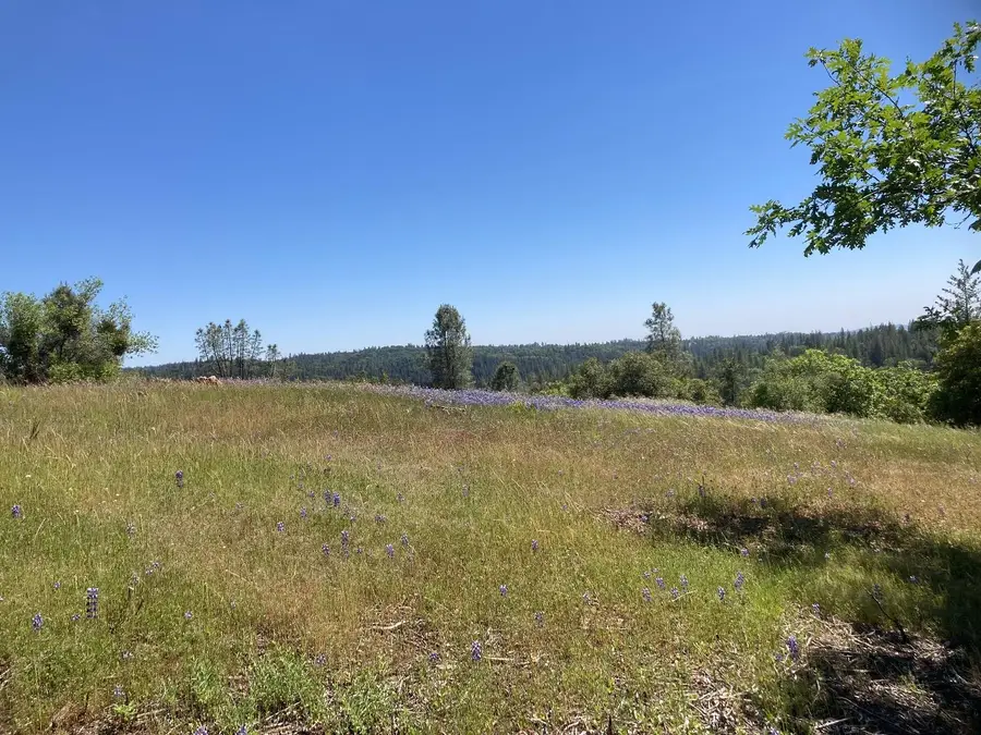 16688 Sonshine Lane, Sutter Creek, CA 95685 - Image #3