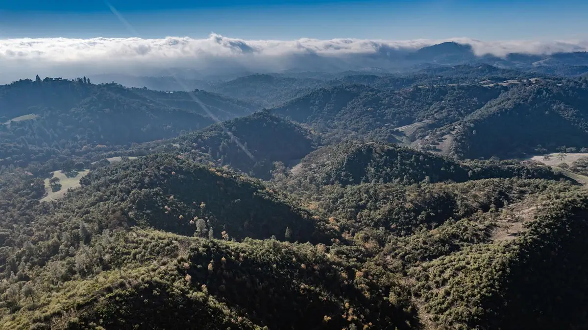 71 Hawver Road, San Andreas, CA 95249 - Image #1