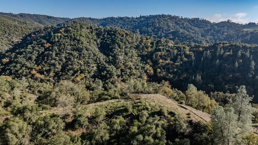 71 Hawver Road, San Andreas, CA 95249 - Image #3