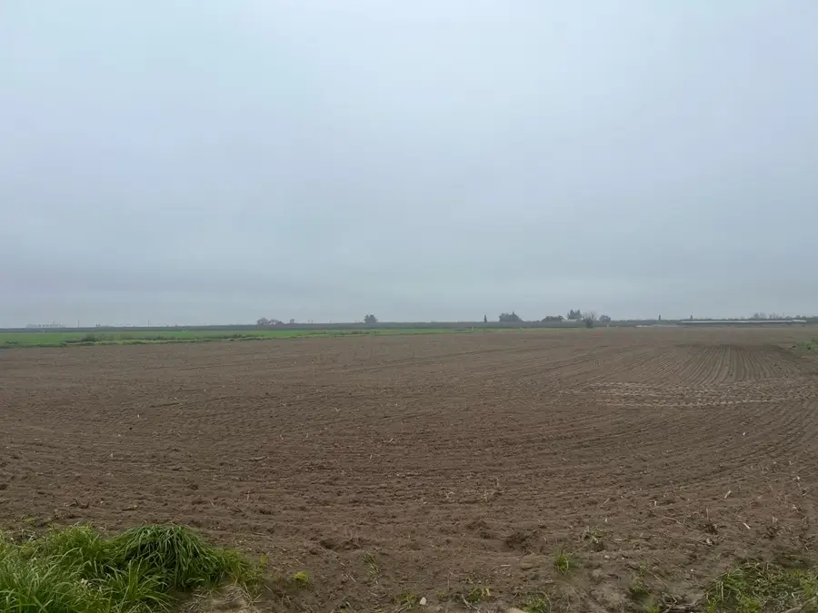 8631 Mitchell Road, Ceres, CA 95307 - Image #3