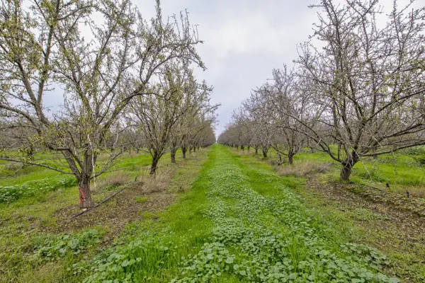 1941 N Dietz Road, Earlimart, CA 93219