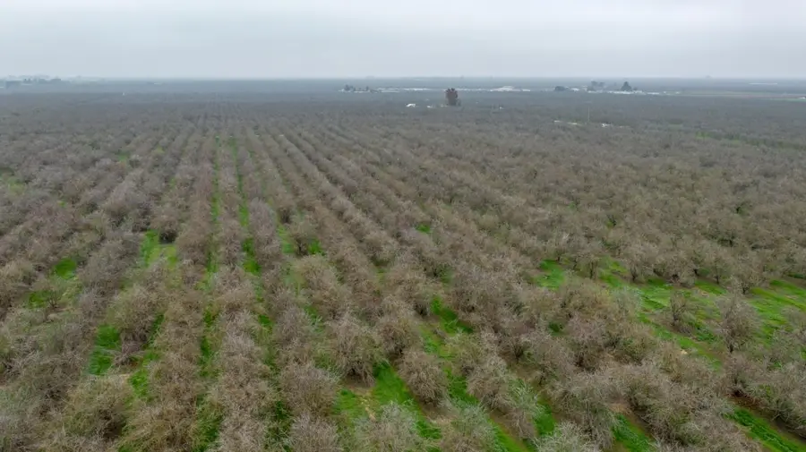 1941 N Dietz Road, Earlimart, CA 93219 - Image #2