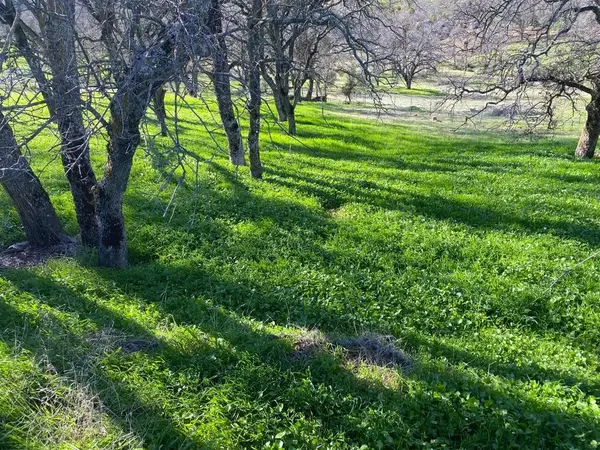 5588 Rippon Road, Valley Springs, CA 95252