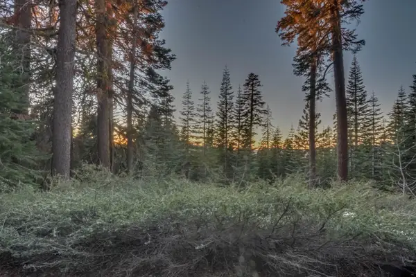 0 Prather Meadow Road, Twain Harte, CA 95223