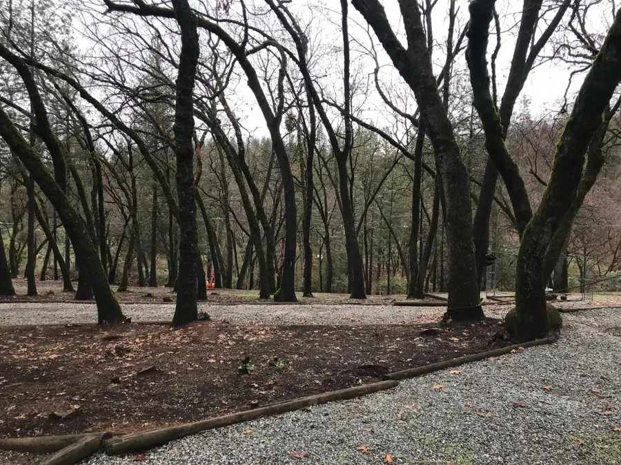 Address Withheld By Seller, Placerville, CA 95667 - Image #2