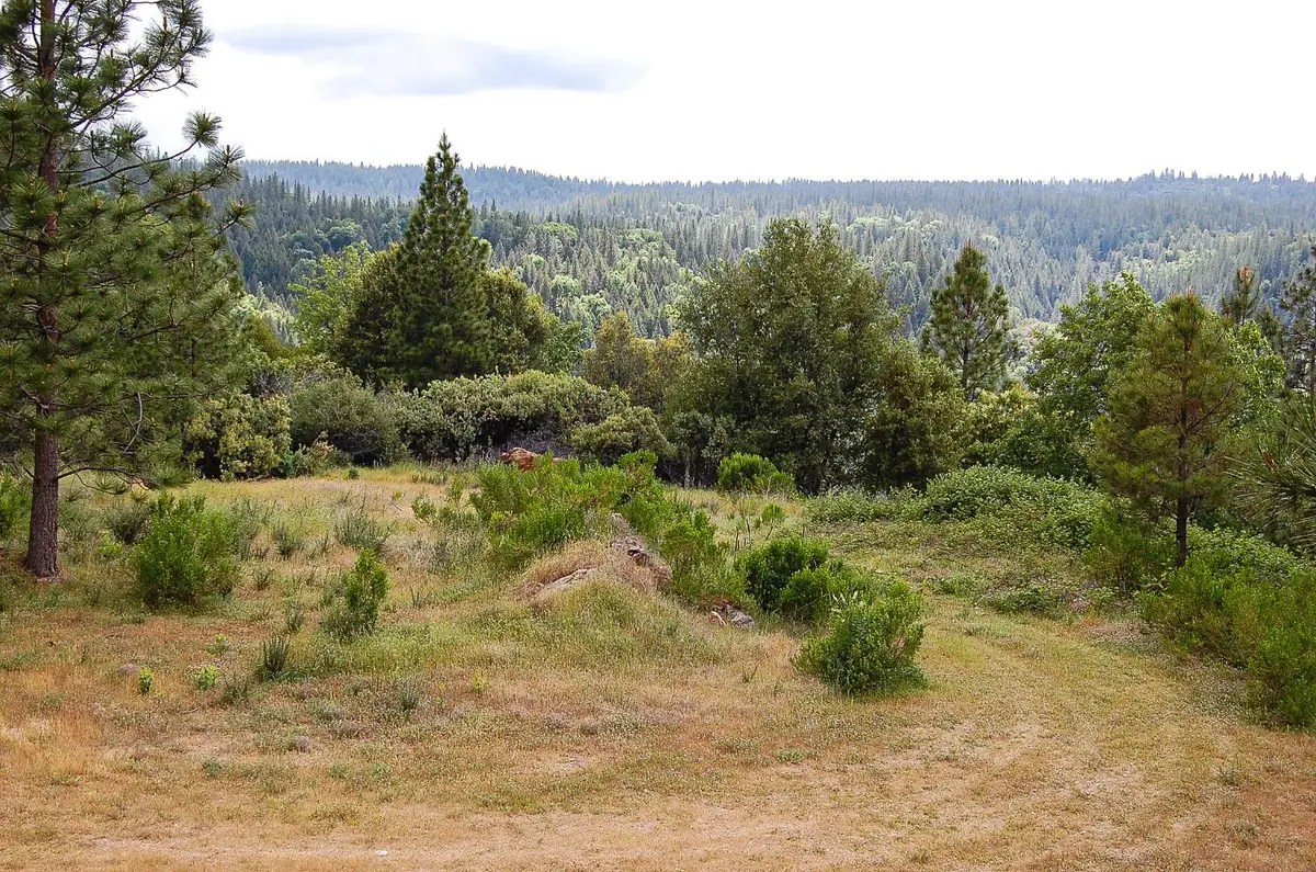 2676 Silver Mountain Road, Rail Road Flat, CA 95248 - #1