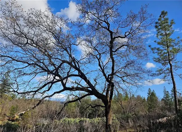 0 Feather Ridge Way, Berry Creek, CA 95916