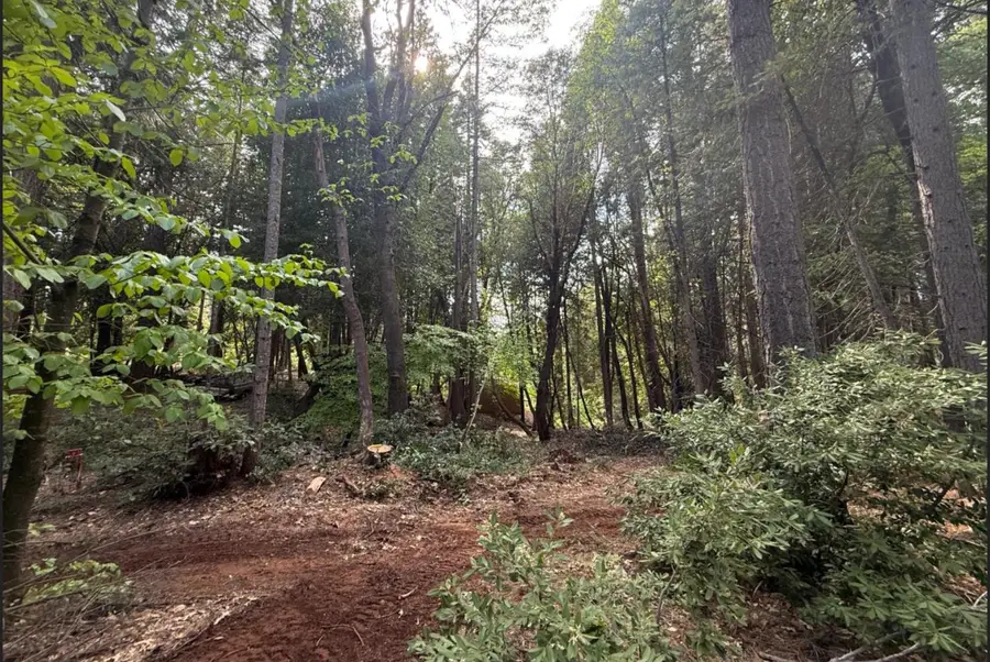 6261 Merry Way, Clipper Mills, CA 95930 - Image #2