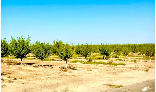 11716 S Cornelia Avenue, Caruthers, CA 93609