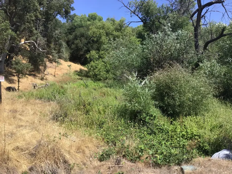 3071 Chestnut Way, Angels Camp, CA 95222 - Image #2