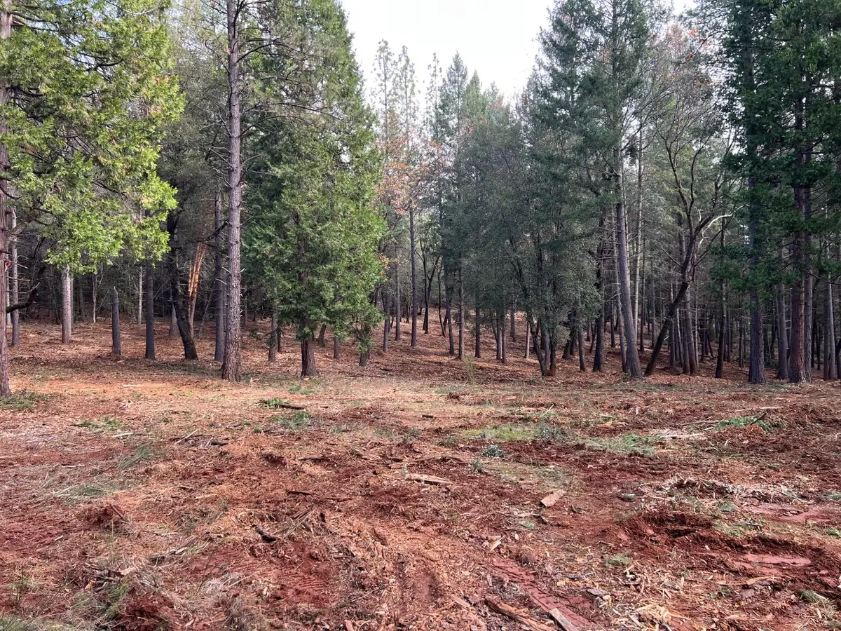 5861 Bear Creek Rd, Garden Valley, CA 95633 - Image #1