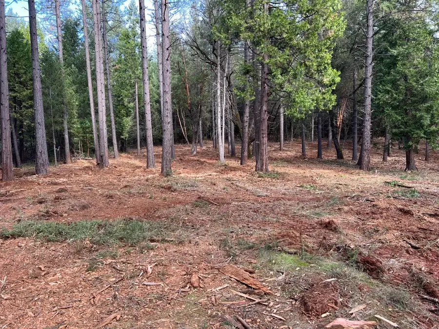 5861 Bear Creek Rd, Garden Valley, CA 95633 - Image #2