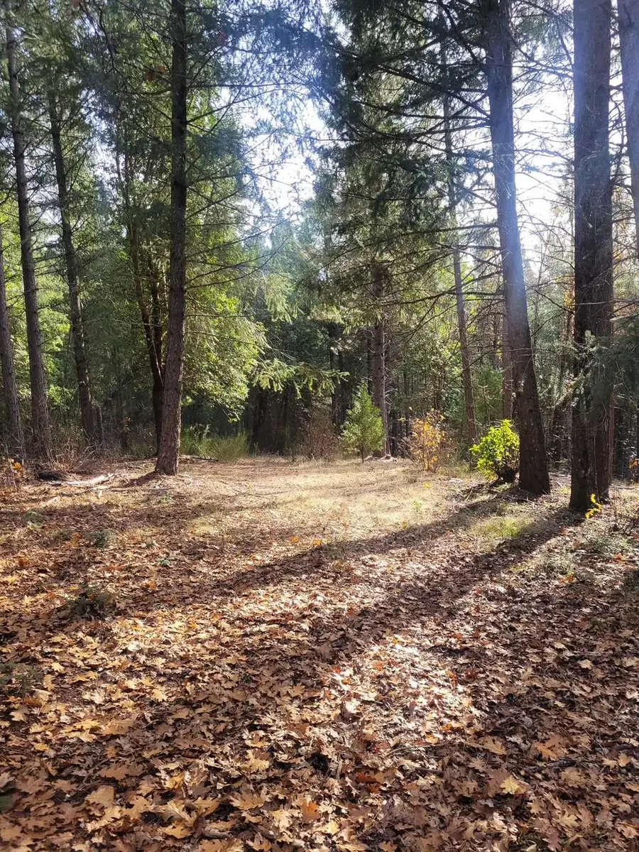 5861 Bear Creek Rd, Garden Valley, CA 95633 - Image #3