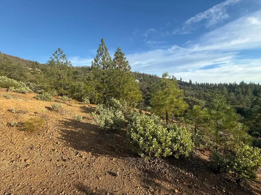 13787 Manion Canyon Road, Grass Valley, CA 95945 - Image #3