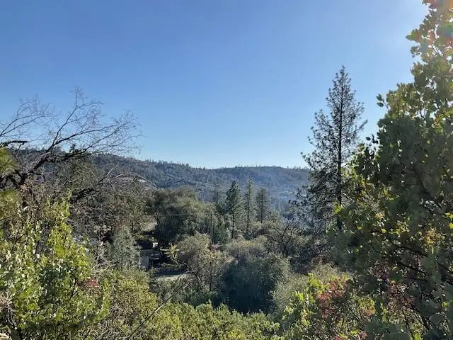 1445 Gallows, Murphys, CA 95223 - Image #3