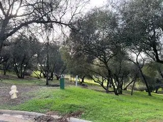 326 Mill Court, Angels Camp, CA 95222