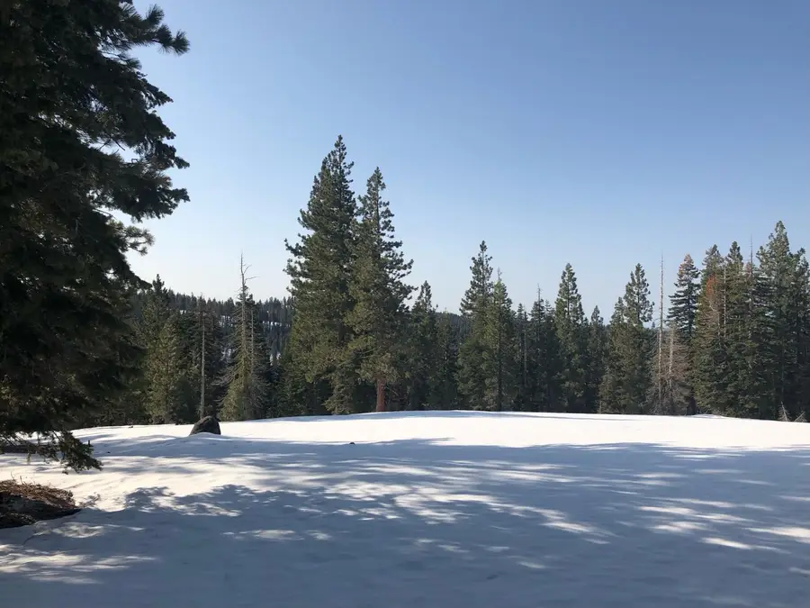 54 Liberty Road, Valley Springs, CA 95223 - Image #2