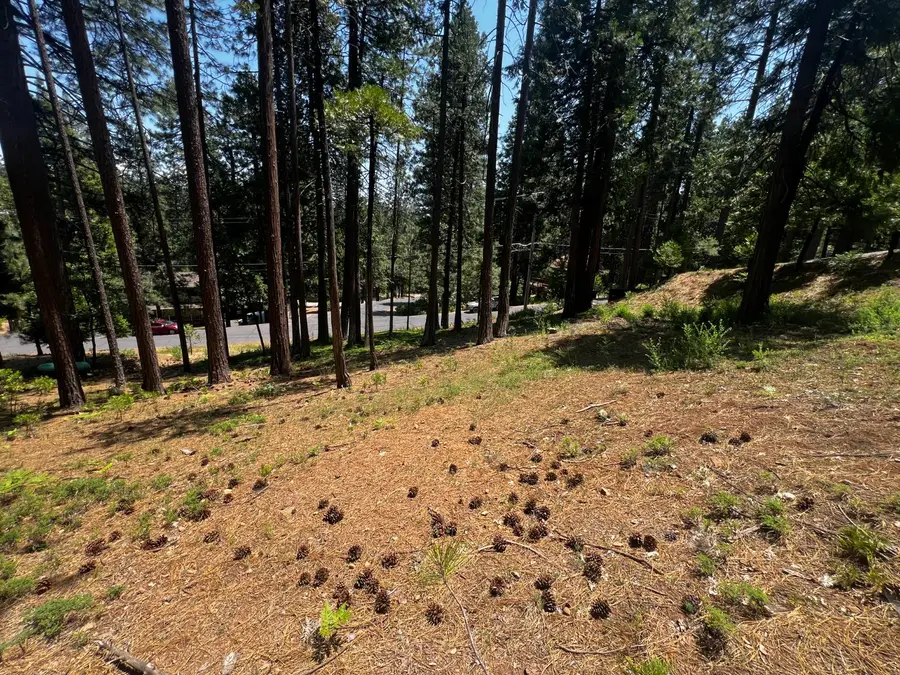 2904 Venado Drive, Arnold, CA 95223 - Image #3