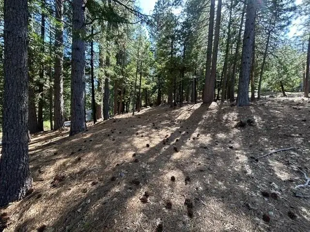 2179 Navajo, Dorrington, CA 95223 - Image #3