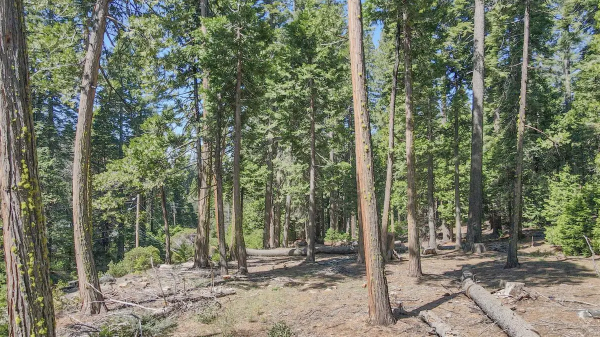 403 Sierra Parkway, Camp Connell, CA 95223 - Image #1