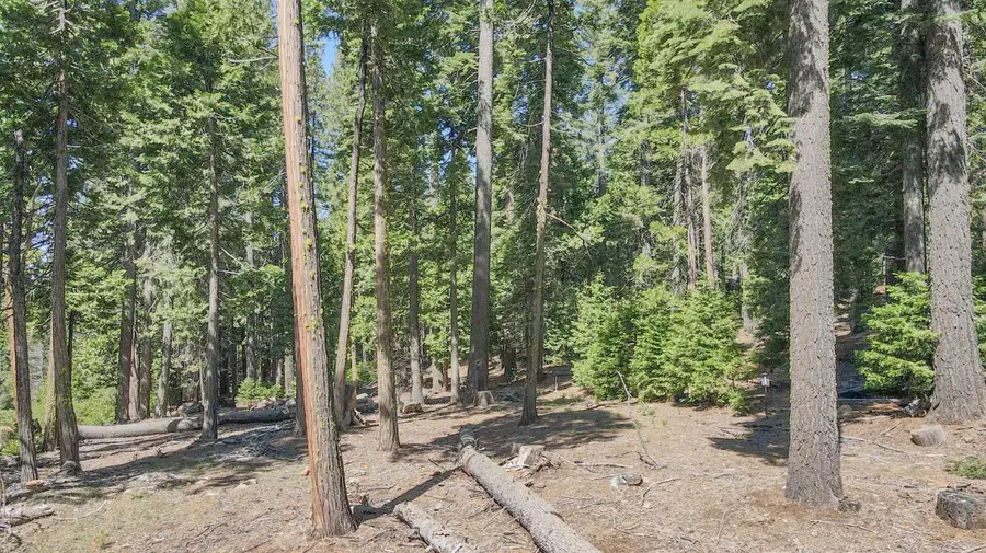 403 Sierra Parkway, Camp Connell, CA 95223 - Image #2