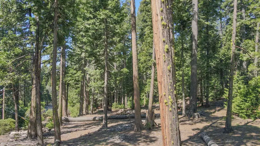 403 Sierra Parkway, Camp Connell, CA 95223 - Image #3