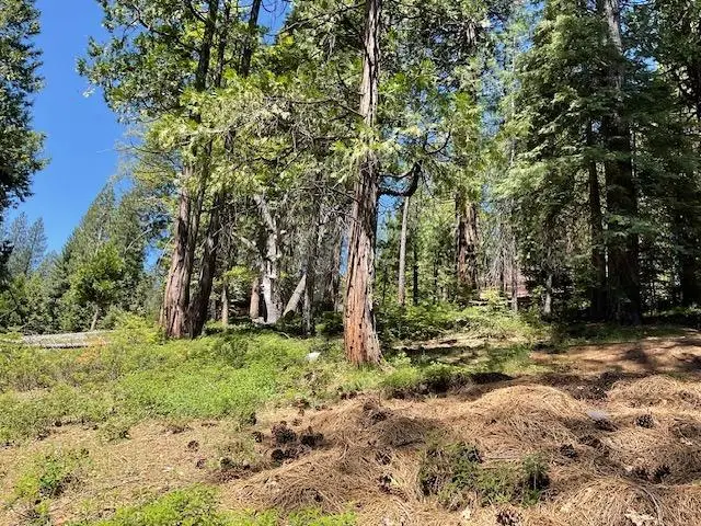 1474 Moran Road, Arnold, CA 95223 - Image #2