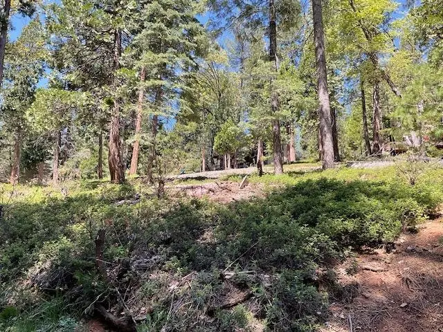 1474 Moran Road, Arnold, CA 95223 - Image #3