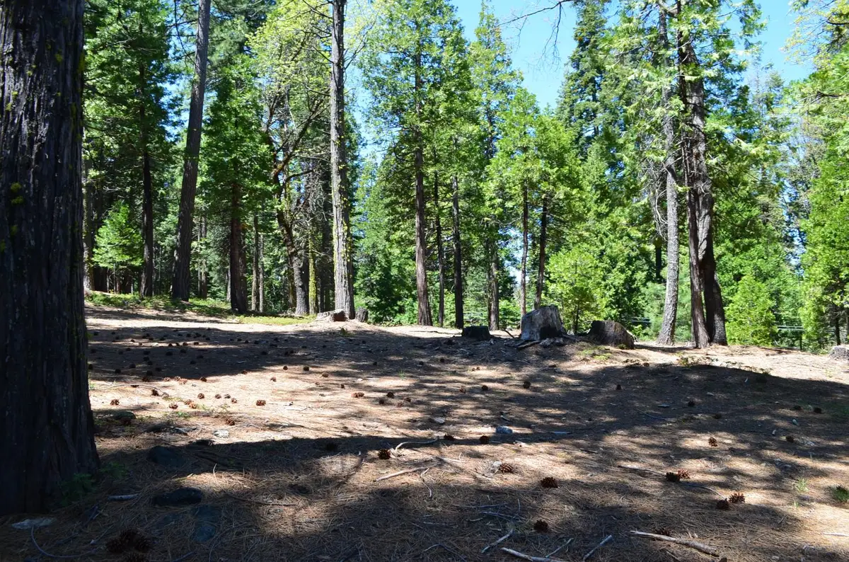 3112 Apache Road, Arnold, CA 95223 - Image #1