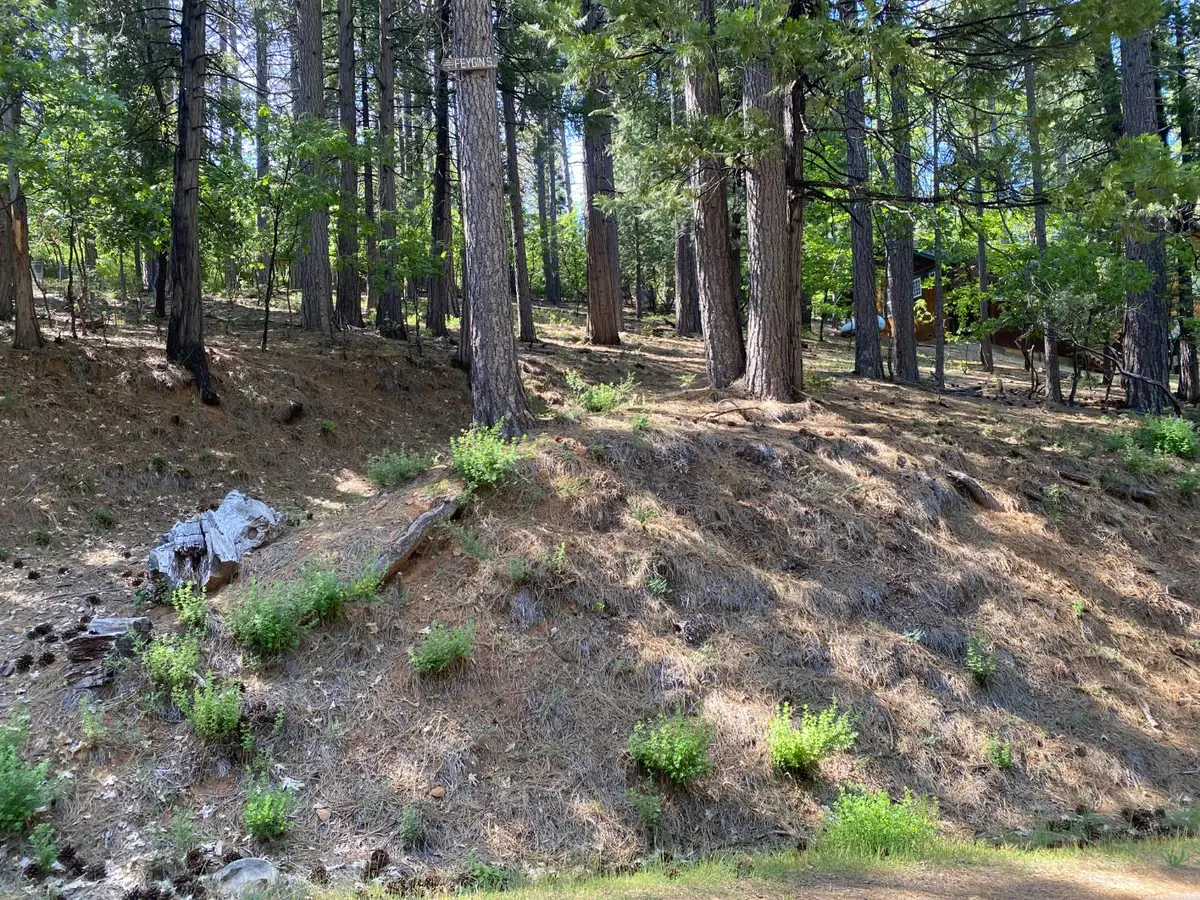 2946 Venado Drive, Arnold, CA 95223 - Image #1