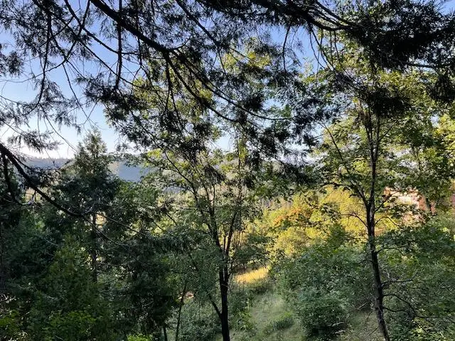 356 Snowberry Court, Murphys, CA 95247 - Image #3