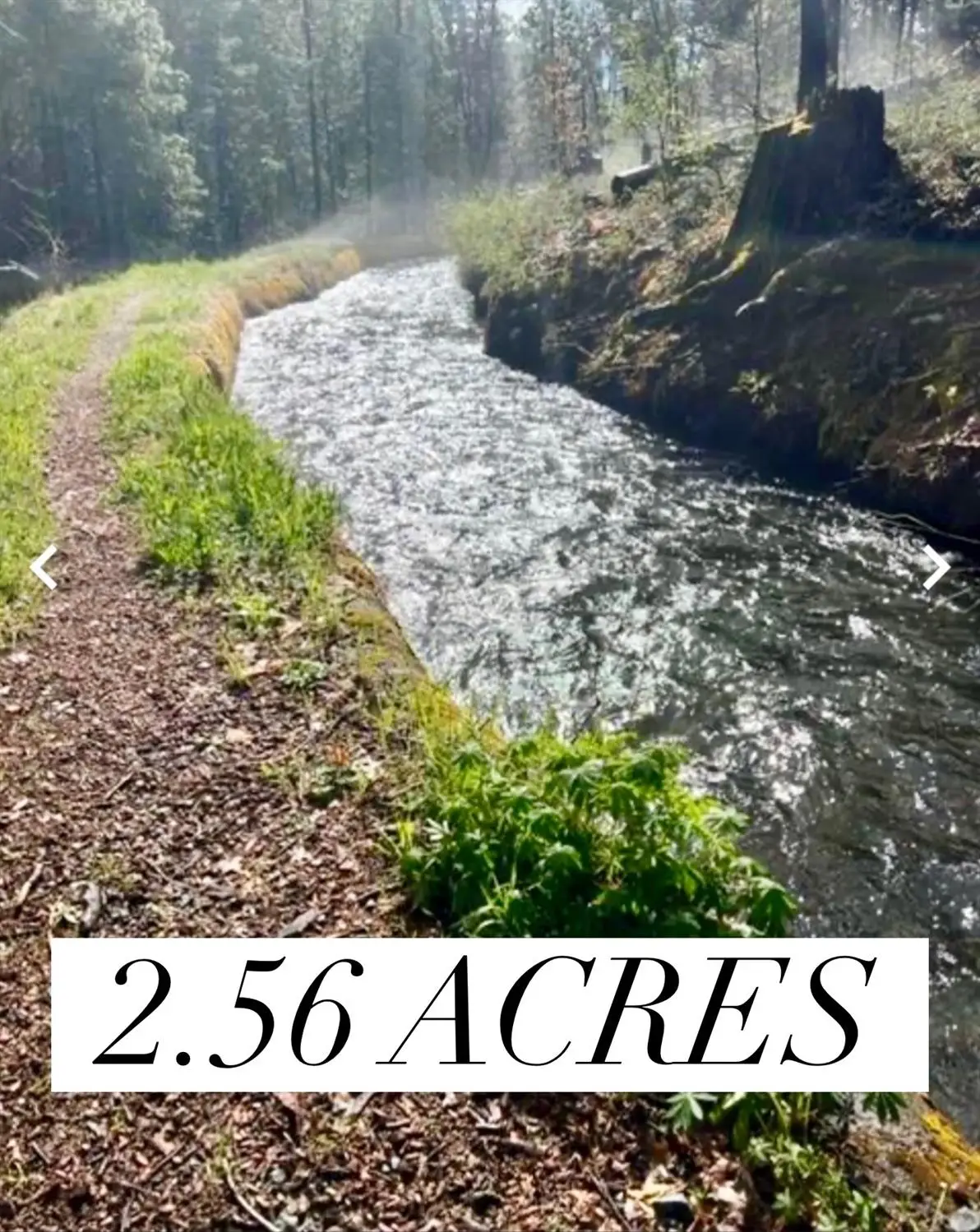 487 Canyon View Drive, Hathaway Pines, CA 95233 - Image #1