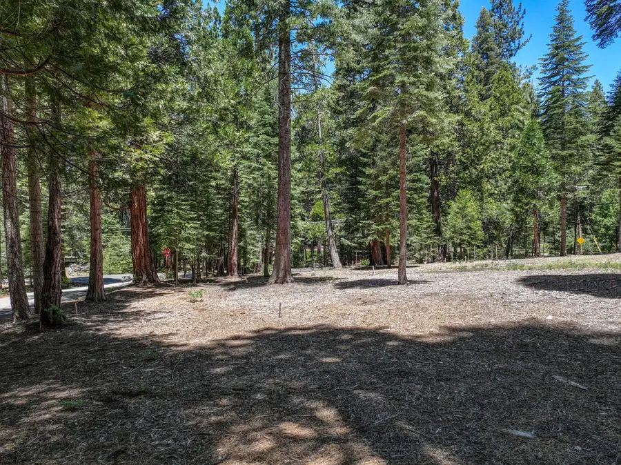 3380 El Camino Boot Strap, Dorrington, CA 95223 - Image #3