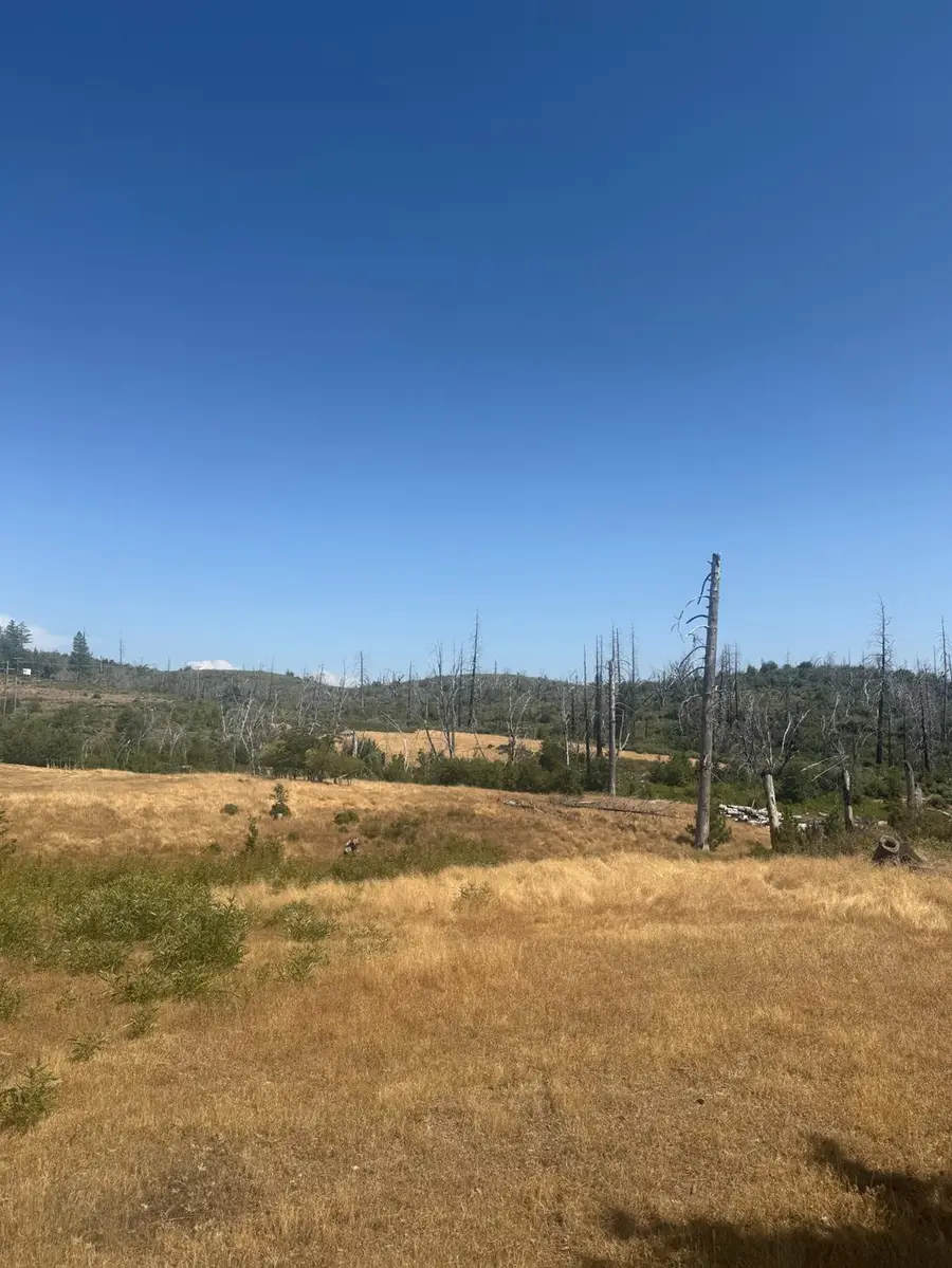 17074 Betty Kaye Lane, Mountain Ranch, CA 95246 - Image #3