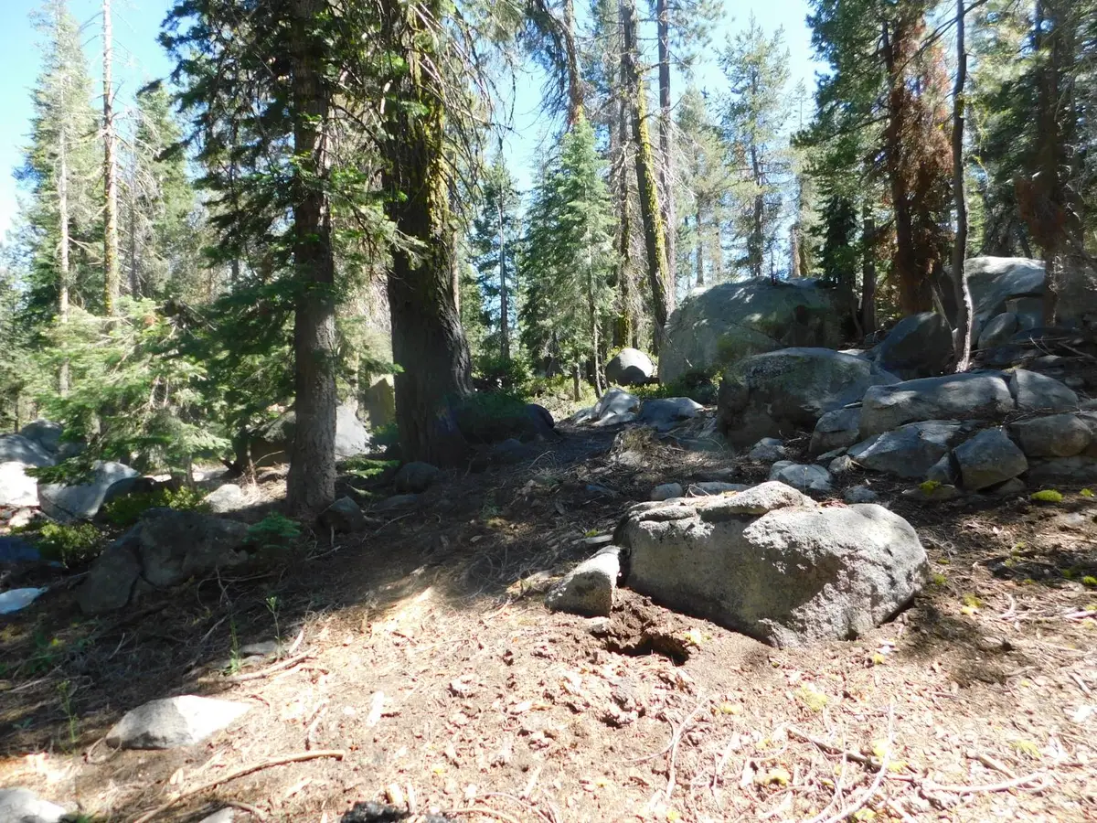 0 Kitch Trail, Arnold, CA 95223 - Image #1
