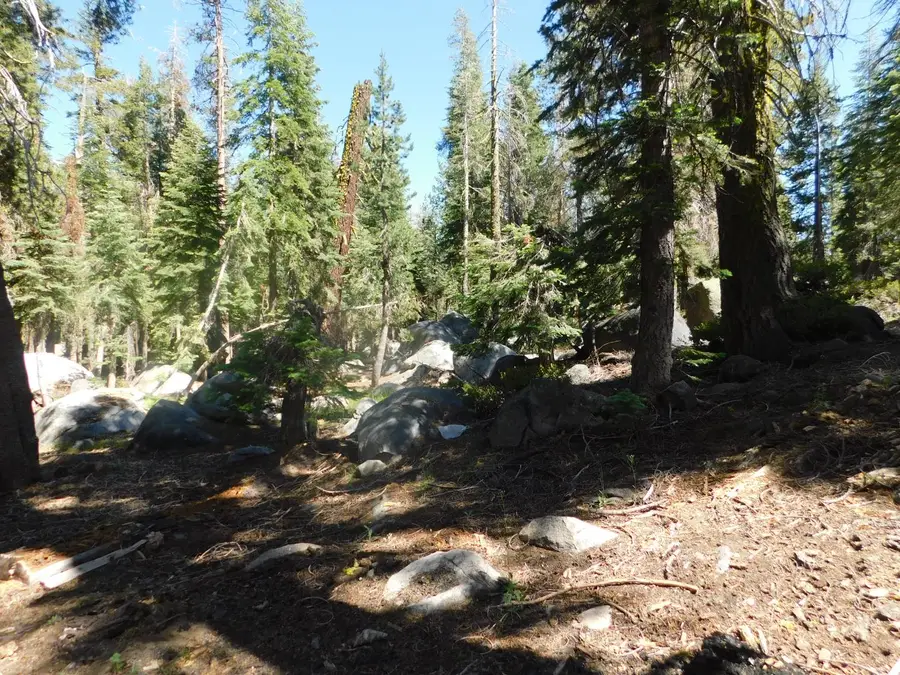 0 Kitch Trail, Arnold, CA 95223 - Image #2