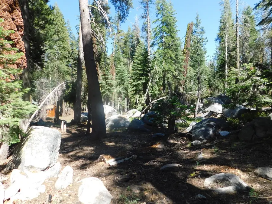 0 Kitch Trail, Arnold, CA 95223 - Image #3
