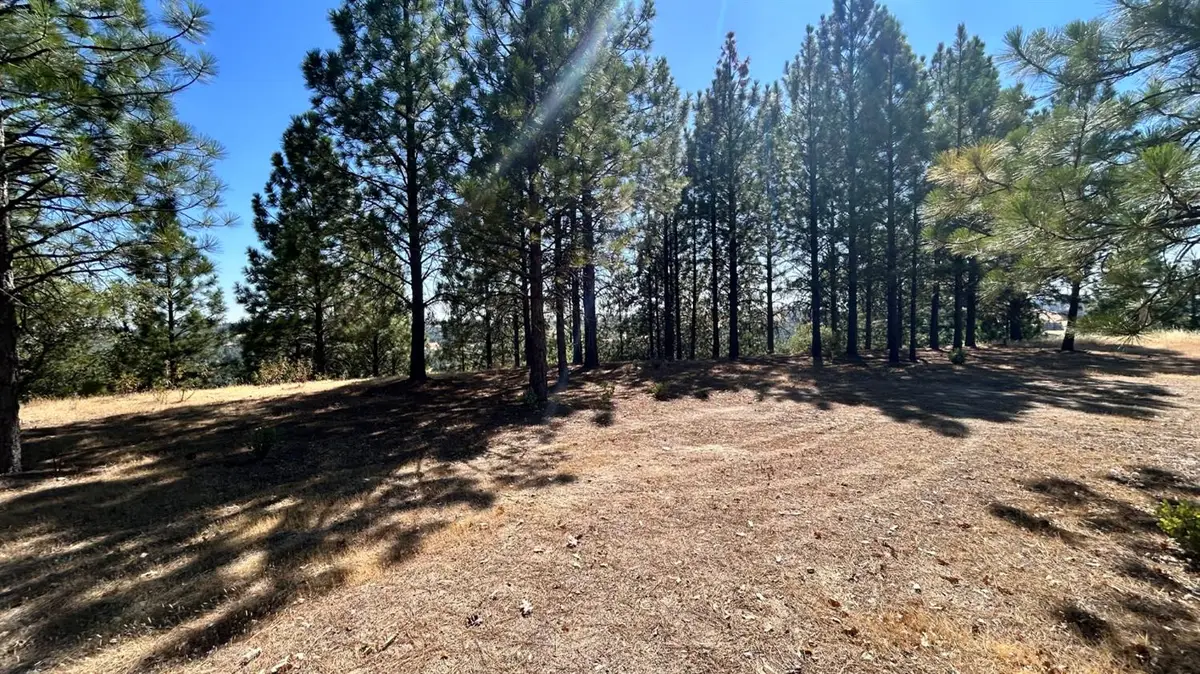 773 Red Fox Road, Mountain Ranch, CA 95246 - Image #1