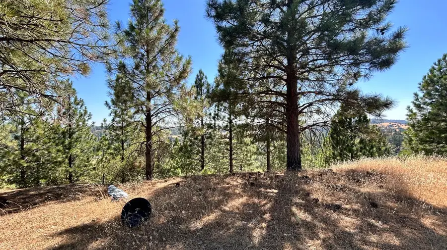 773 Red Fox Road, Mountain Ranch, CA 95246 - Image #3