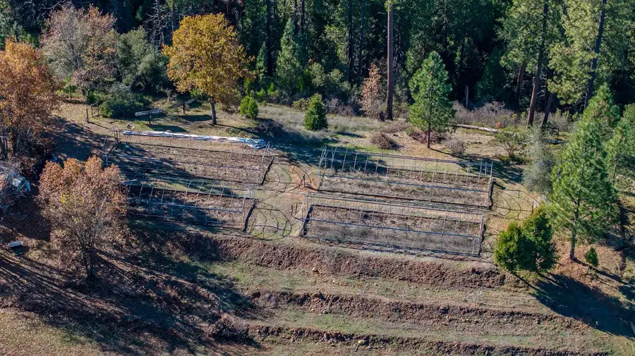 3035 Wharregard Road, Rail Road Flat, CA 95248 - Image #3