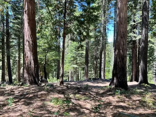 1619 Shoshone Drive, Valley Springs, CA 95223